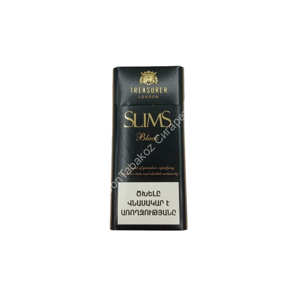 Сигареты Treasurer London Black Slims микс 