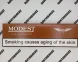 Сигареты Modest Cigar Tobacco Nano Оптом 